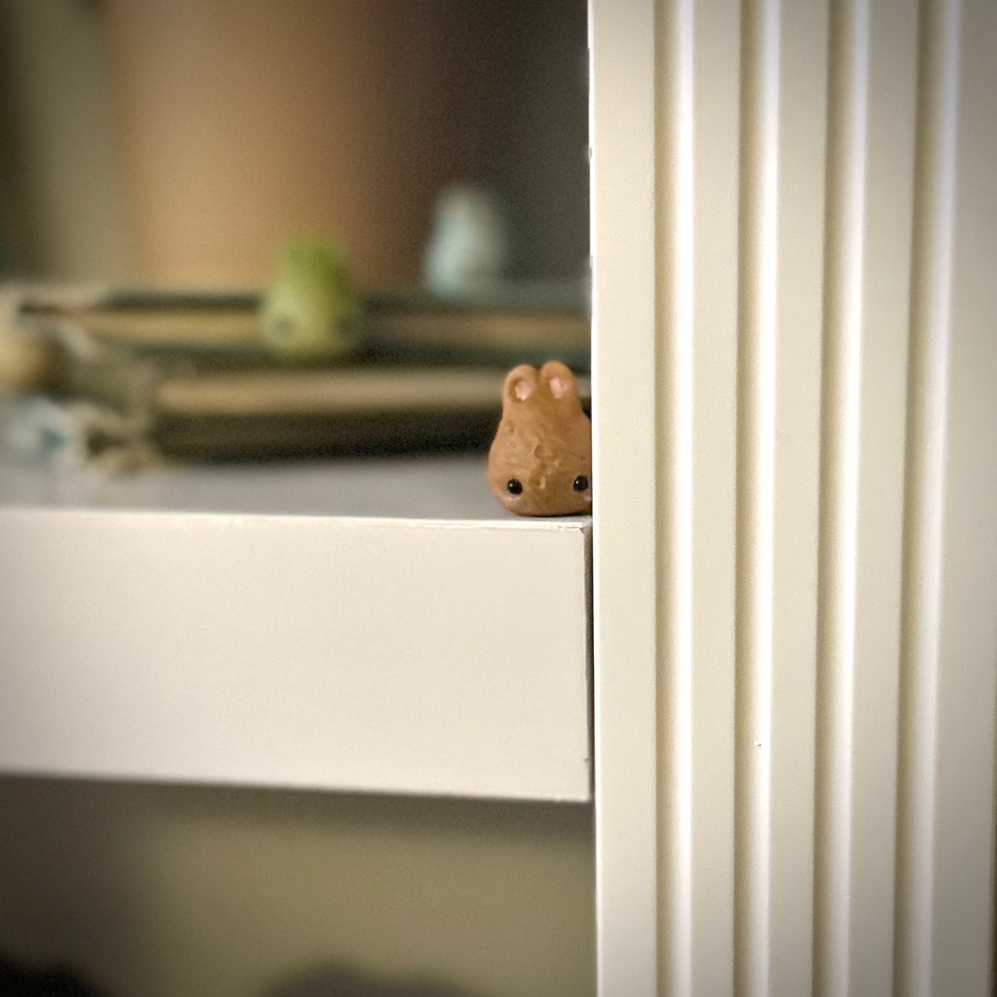 Pre Order Dust Bunny