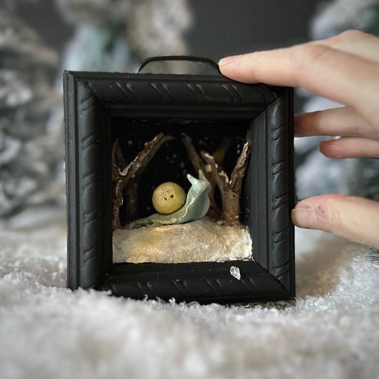 Moon Catcher Snail