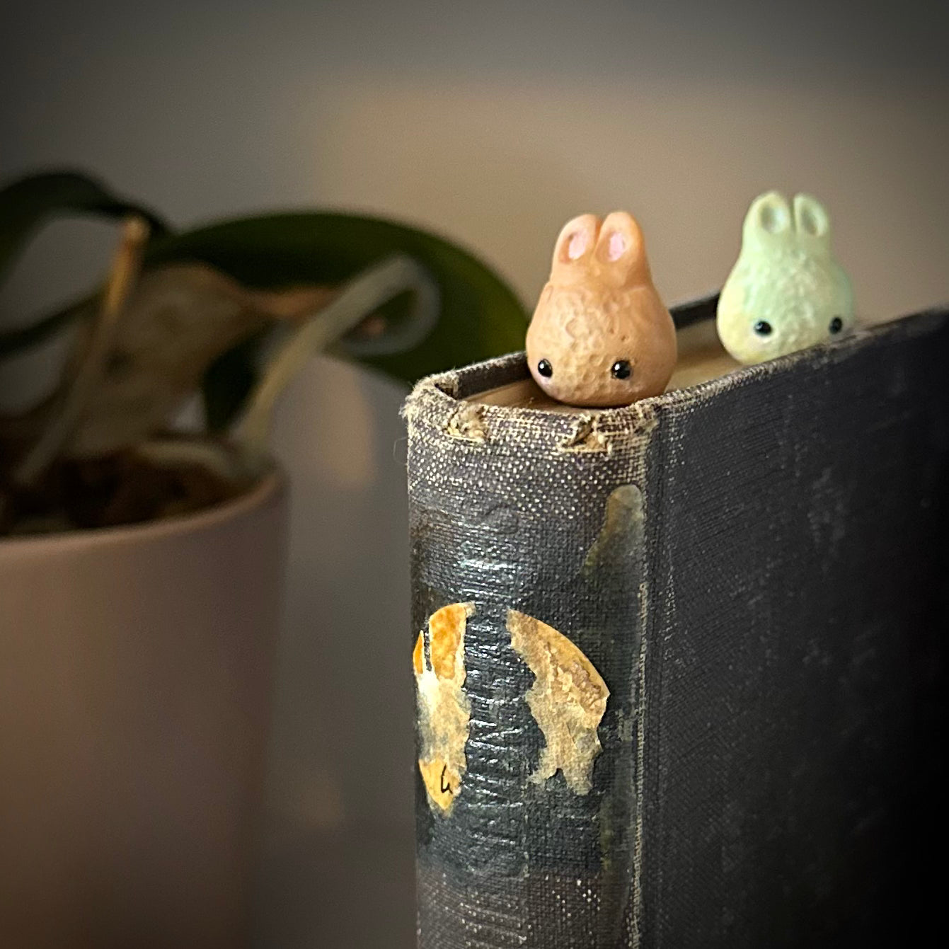 Pre Order Dust Bunny