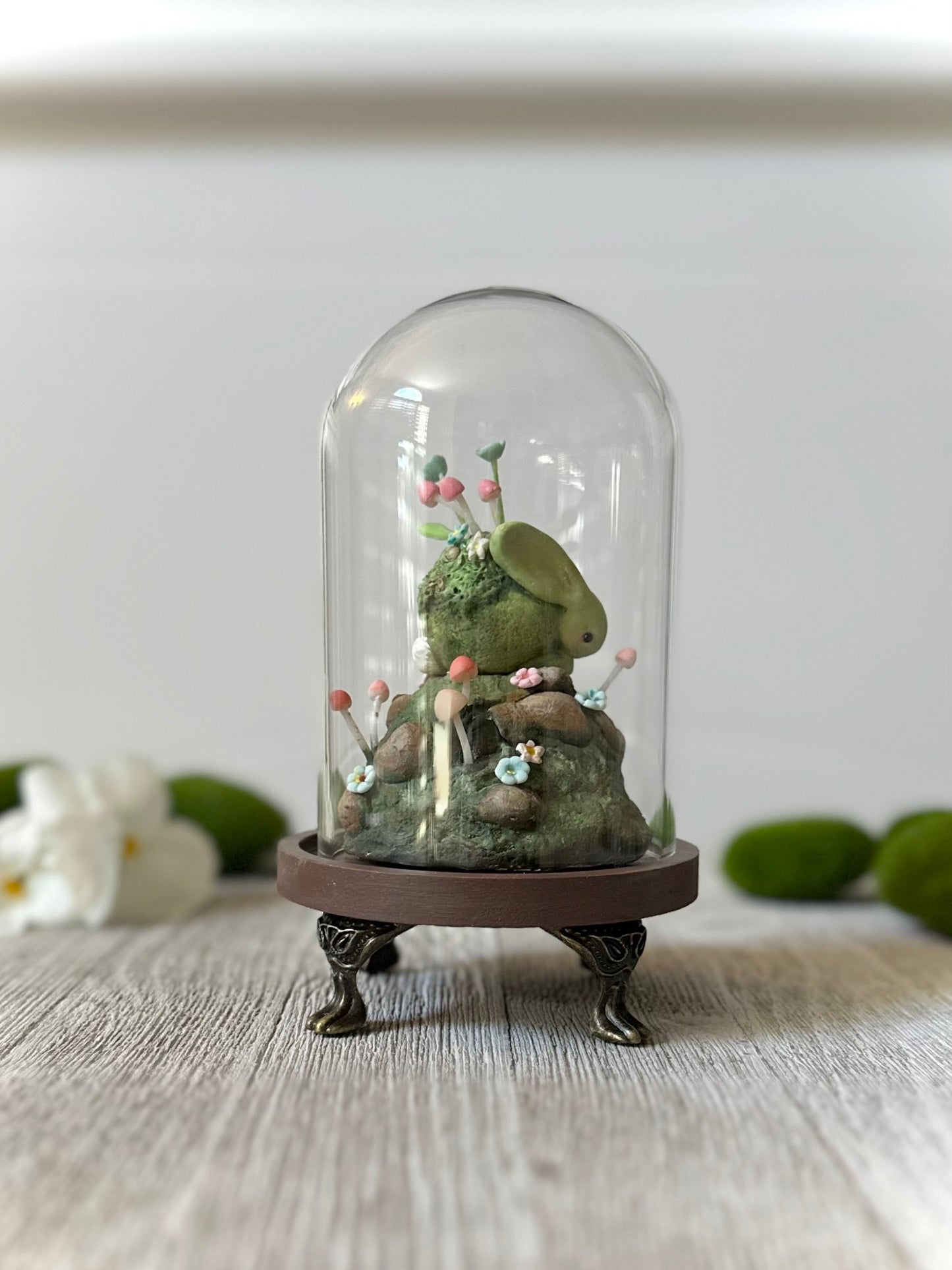 PRE ORDER The Moss Hare 6inch Glass Cloche
