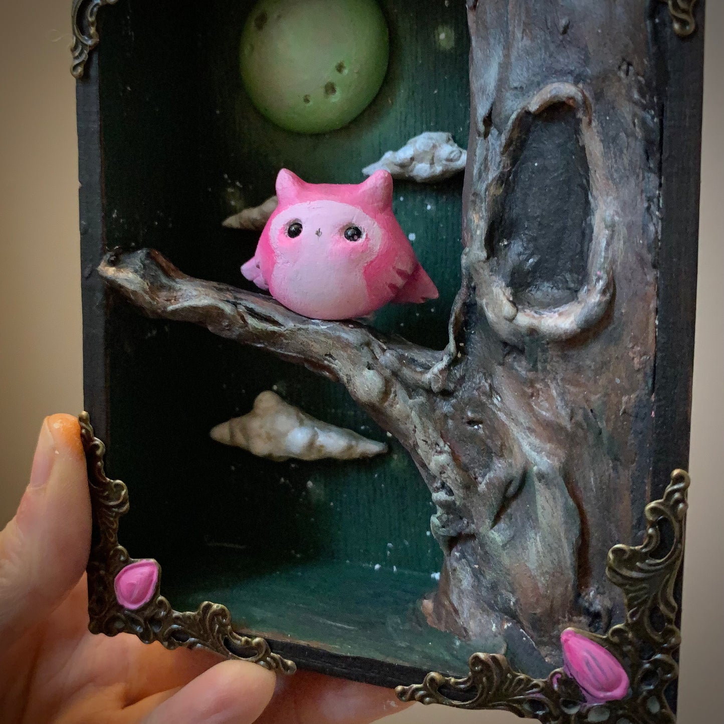 Curious Nights 5x4 inch Story Box