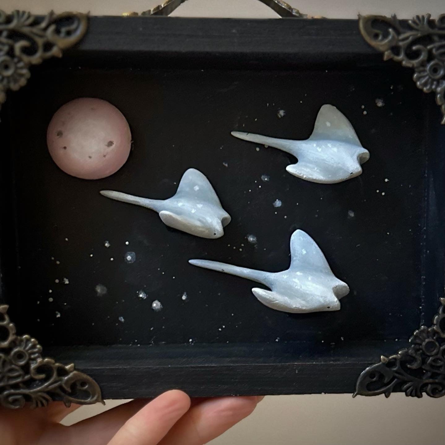 Midnight Guardian Sting Ray