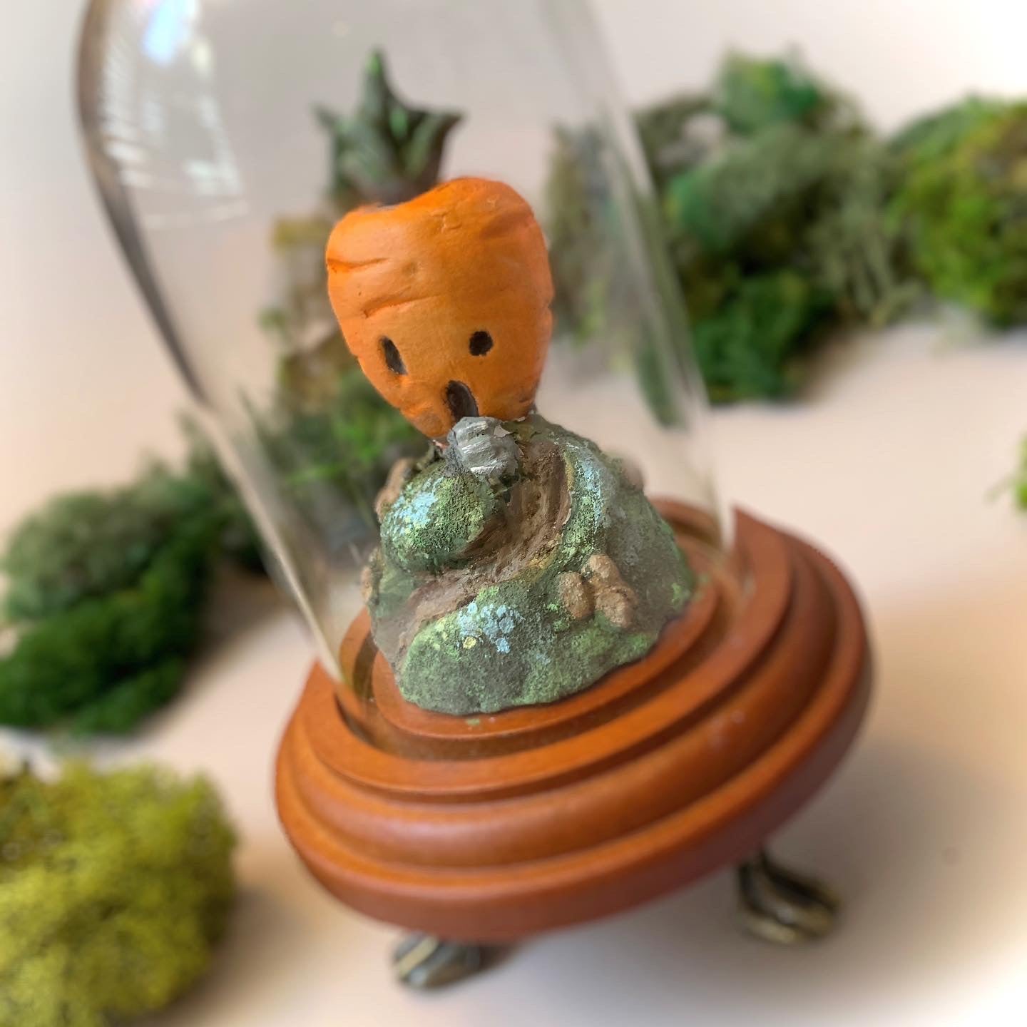 Summoner of Spring Carrot House 6 inch glass cloche