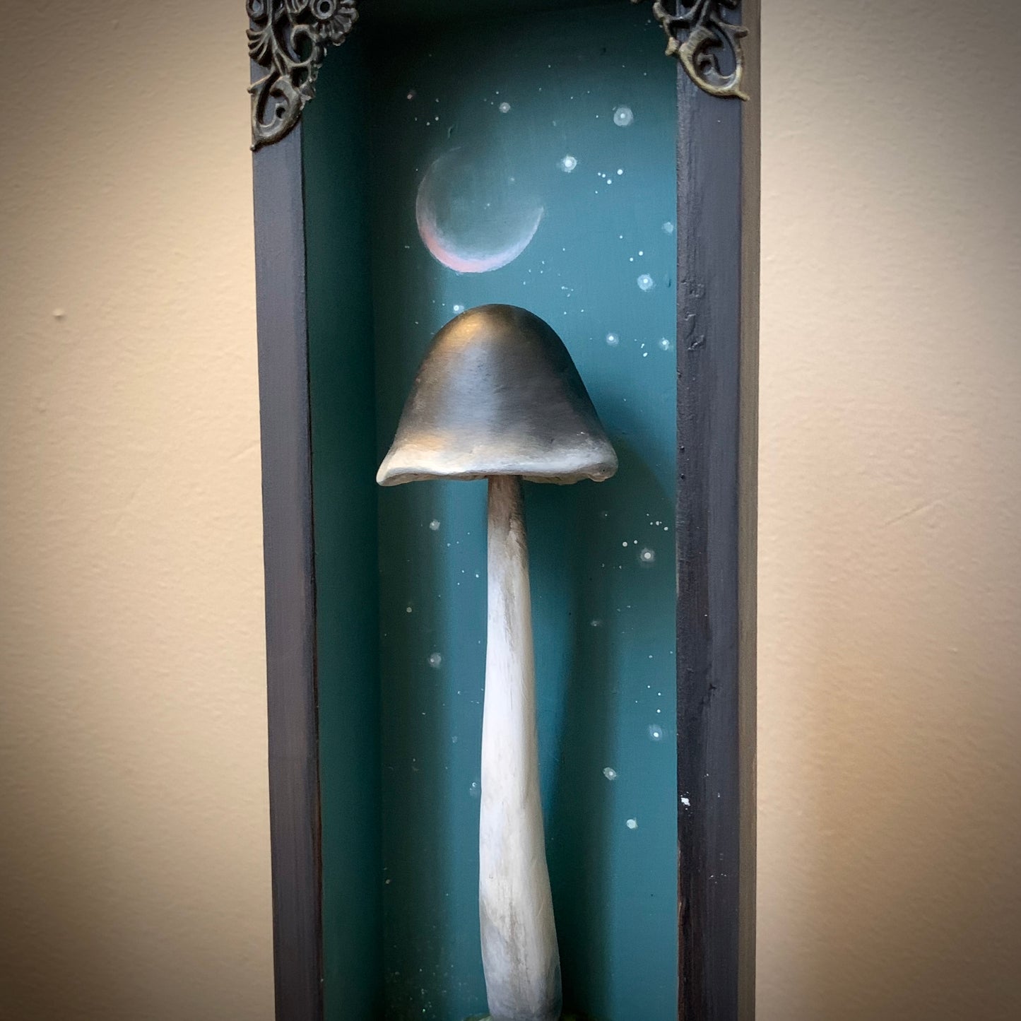 Night Shade Shroom 12x4 inch Story Box
