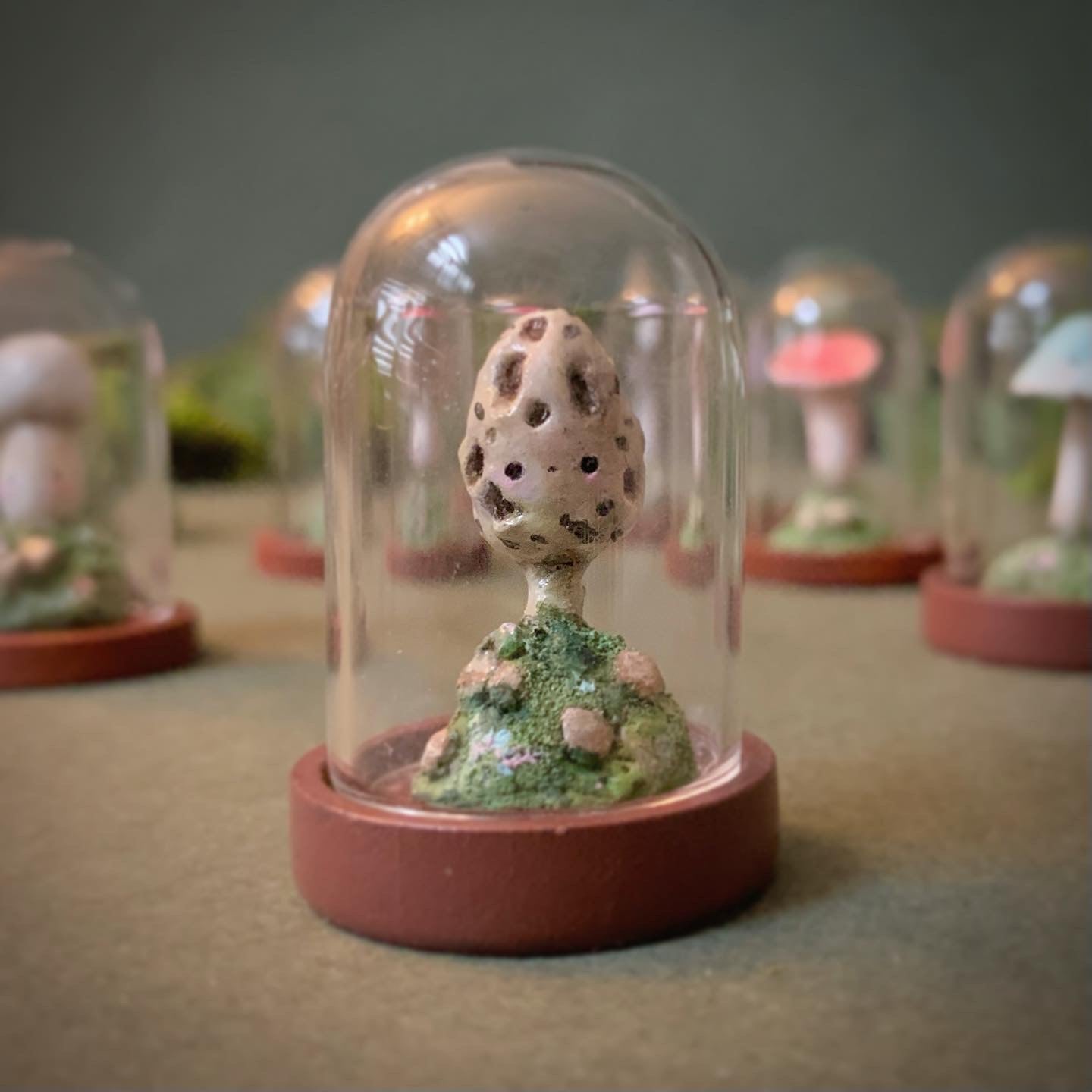 Fungi Friends in 1.5 inch Glass Cloche