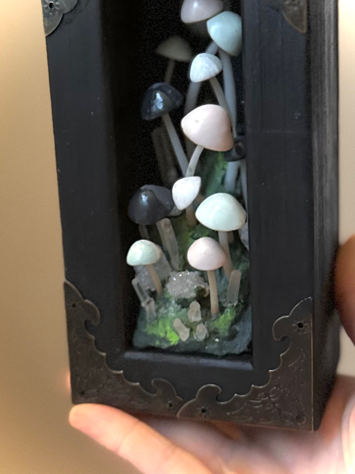 Midnight Mushrooms 3x6 inch Story Box