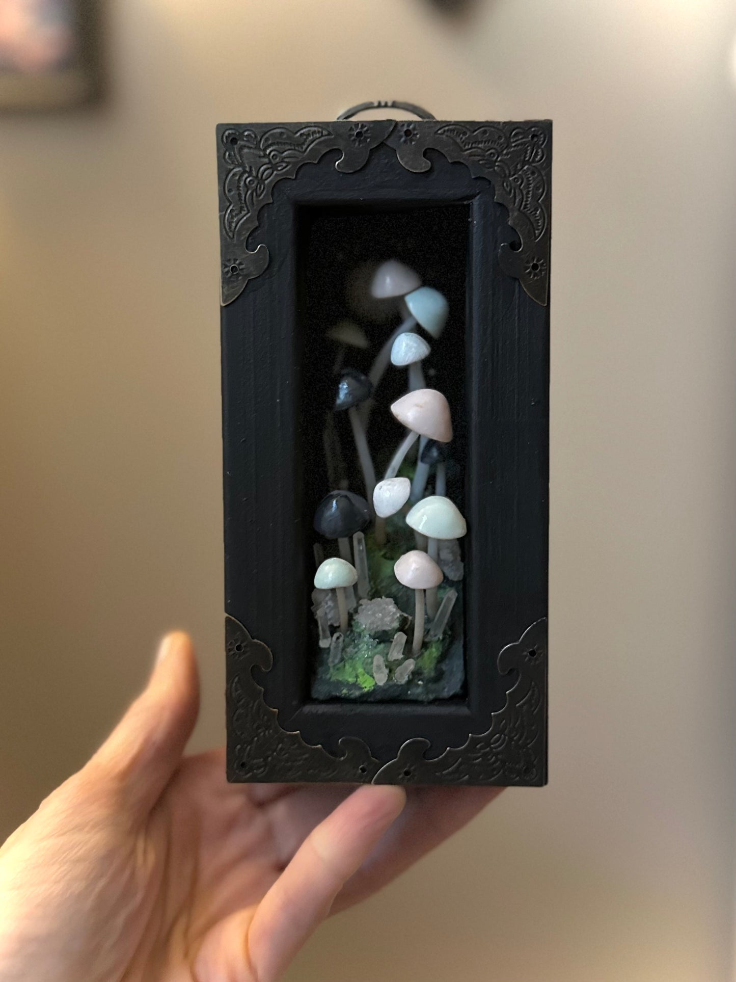 Midnight Mushrooms 3x6 inch Story Box