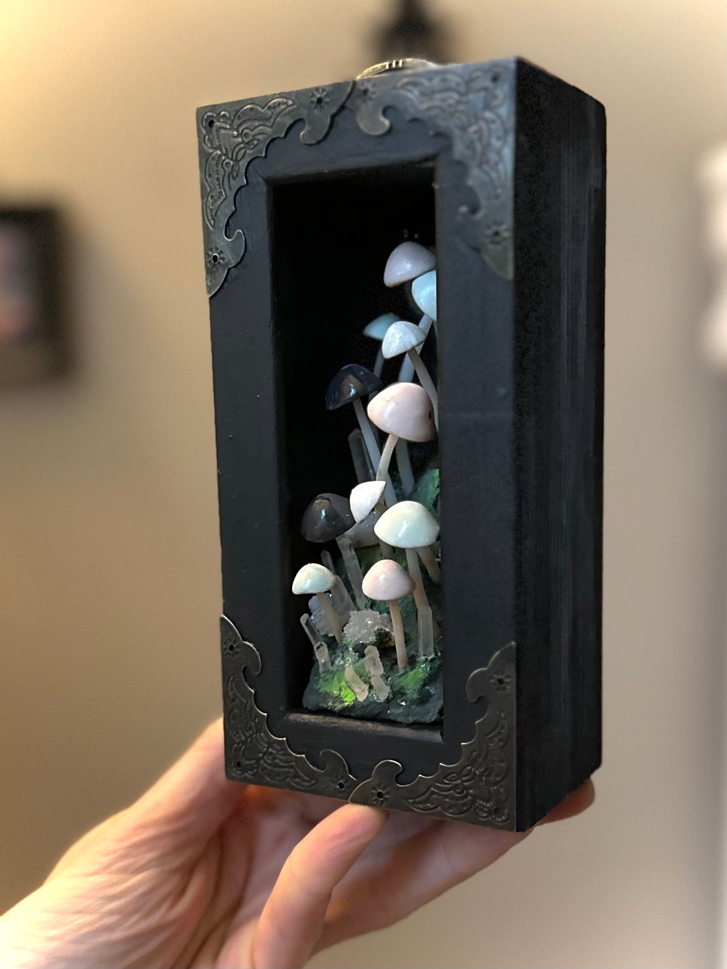 Midnight Mushrooms 3x6 inch Story Box