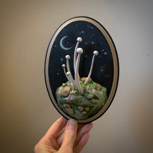 Moon Mushroom 6x4 inch Story Board