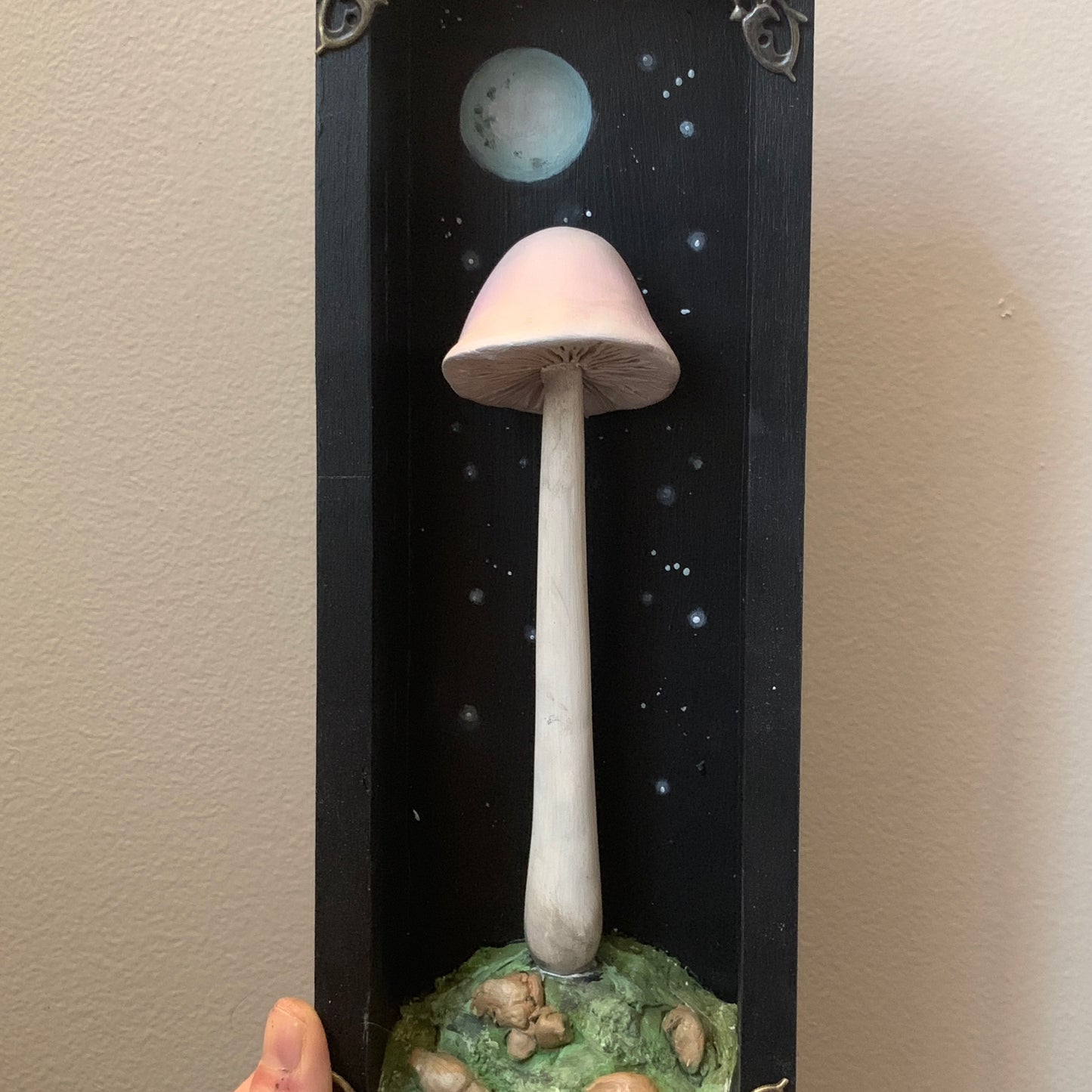 Moon Mushroom 12x4 inch Story Box