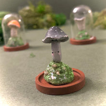 Fungi Friends in 1.5 inch Glass Cloche