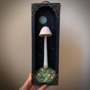 Moon Mushroom 12x4 inch Story Box