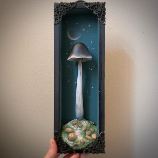 Night Shade Shroom 12x4 inch Story Box