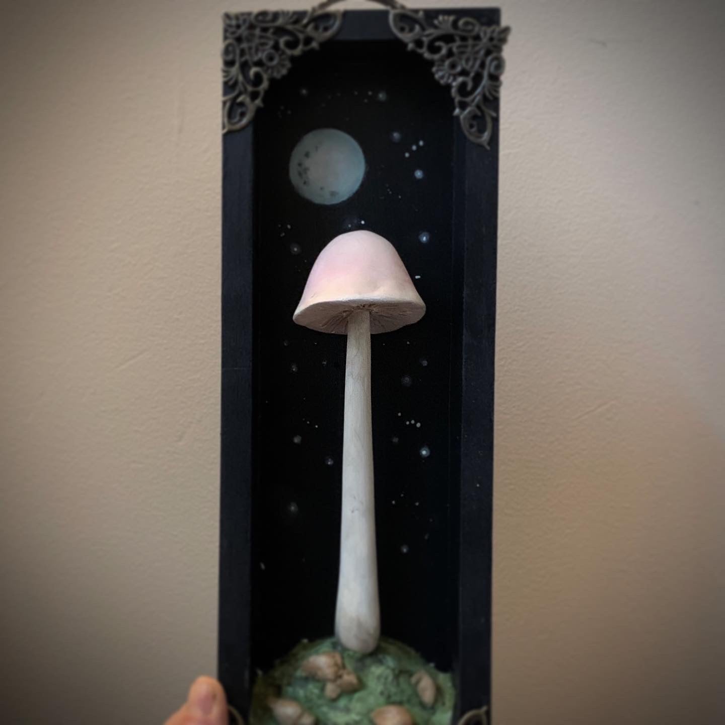 Moon Mushroom 12x4 inch Story Box