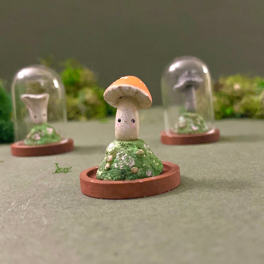 Fungi Friends in 1.5 inch Glass Cloche